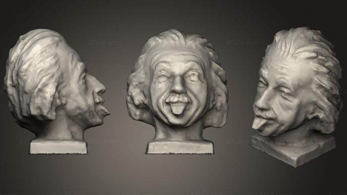 Бюсты и барельефы известных личностей (Albert Einstein, BUSTC_0861) 3D модель для ЧПУ станка